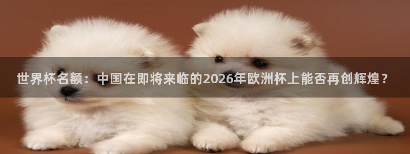 足球世界杯:世界杯名额:中国在即将来临的2026年欧洲杯上能否再创辉煌?