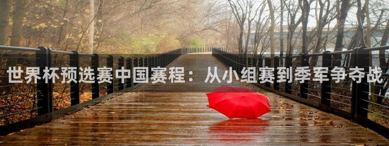 英格兰联赛杯直播:世界杯预选赛中国赛程:从小组赛到季军争夺战