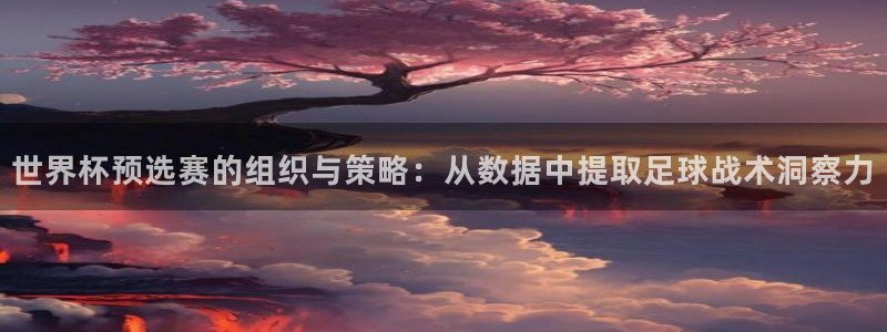 世界杯2026赛程:世界杯预选赛的组织与策略:从数据中提取足球战术洞察力