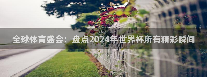 2026年世界杯时间表:全球体育盛会:盘点2024年世界杯所有精彩瞬间