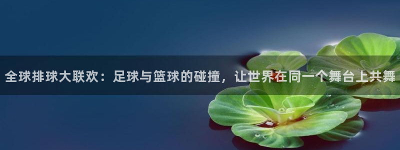世界杯球队排名:全球排球大联欢:足球与篮球的碰撞,让世界在同一个舞台上共舞